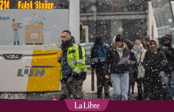 Esta noche caerá nieve sobre gran parte de Bélgica: ¿debemos esperar que dure?