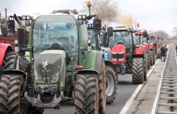 En Saboya, los agricultores muestran su descontento reuniéndose en Albertville