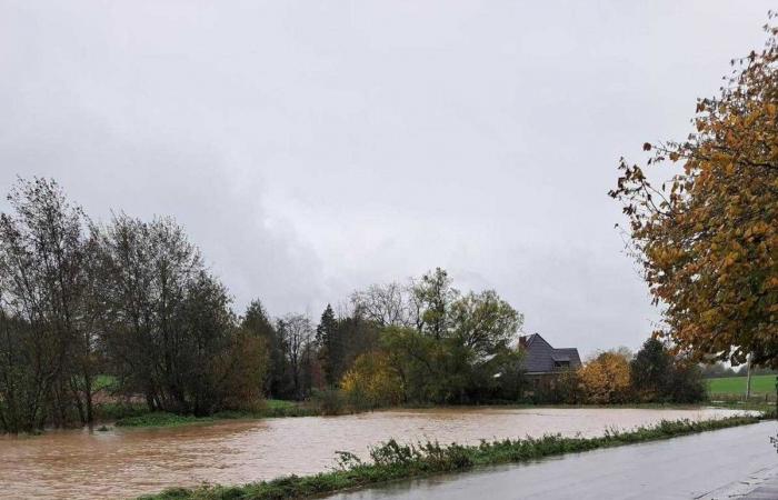 Escorrentía de los campos, casas afectadas: las inundaciones sorprenden a los pueblos de Brainois (FOTOS)