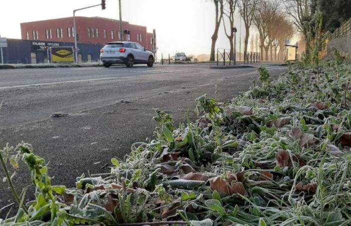 El plan de invierno activado en las carreteras.