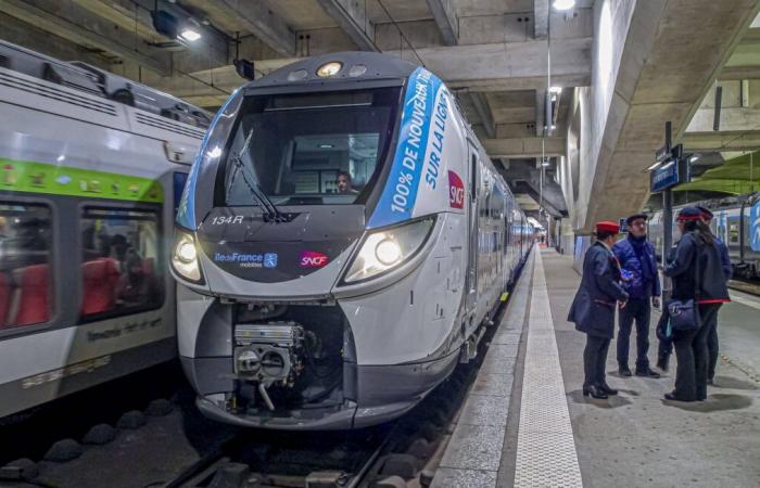 El tráfico de Transilien se interrumpió este jueves, especialmente los RER B y D