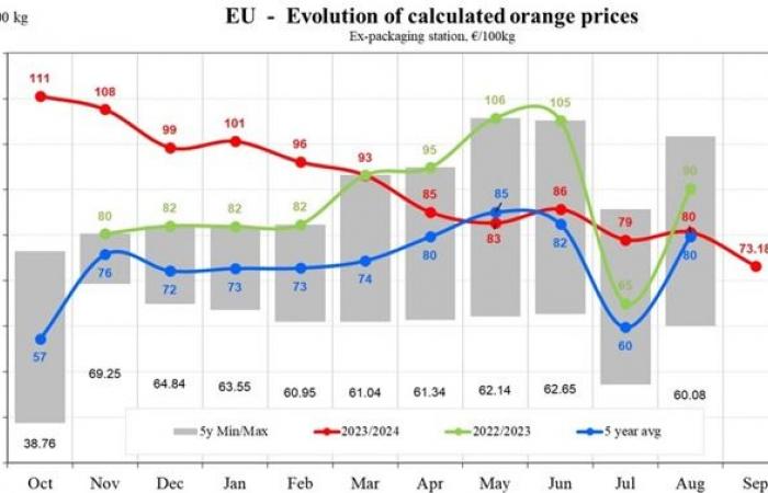 Los precios de las naranjas en la UE cayeron un 9,24% en septiembre