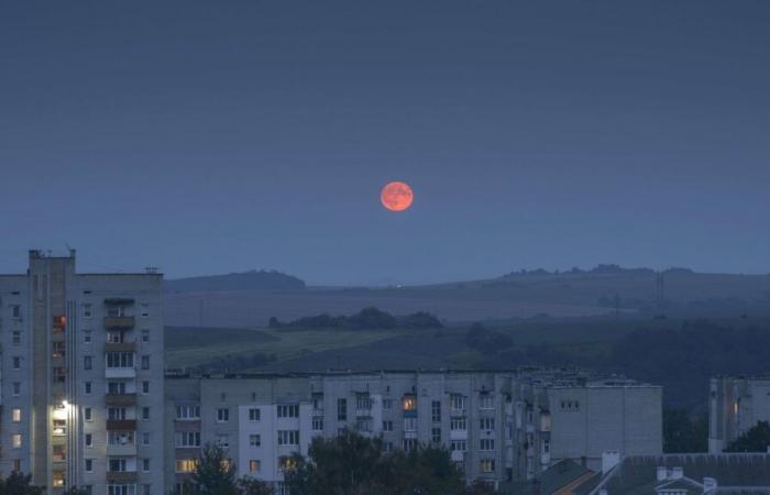 Por los 1.000 días de guerra en Ucrania, las dudas de los habitantes de Lviv