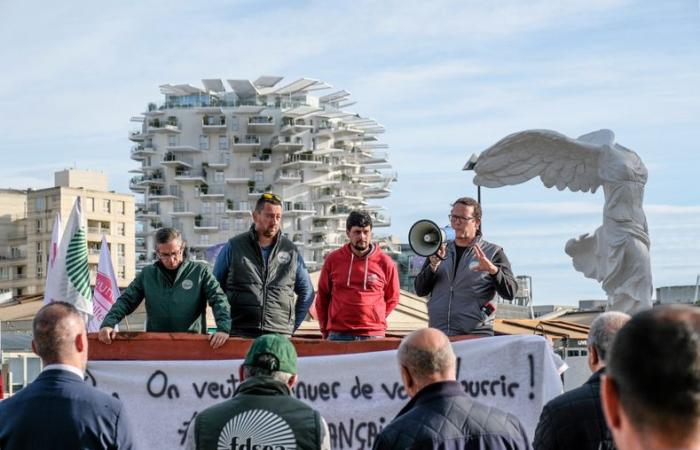 Ira agrícola: en Occitania, los manifestantes optaron por una primera ronda de advertencia