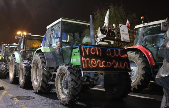 En Dordoña, los agricultores organizan una barbacoa para concienciar sobre el acuerdo con Mercosur