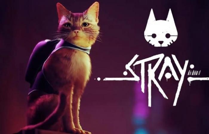 Juego del día: Stray: el viaje ciberpunk de un gato pelirrojo a un mundo en ruinas ya está disponible en Nintendo Switch.