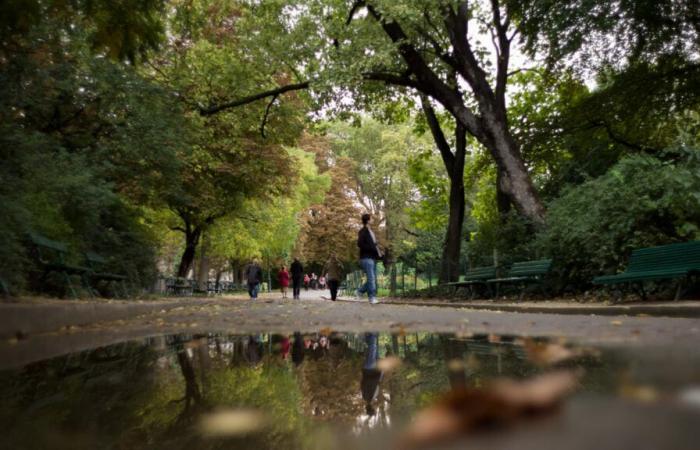 espacios verdes y cementerios cerrados este martes por la tarde, se esperan fuertes ráfagas de viento