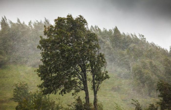 Vendavales, lluvias, inundaciones… 70 departamentos puestos en alerta este martes