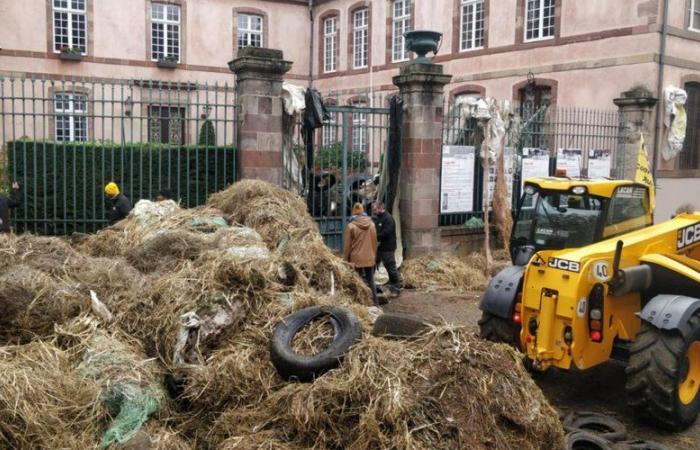 VIDEO. La ira de los agricultores: inmersos en la columna de tractores que convergieron en Rodez para “redecorar” la prefectura