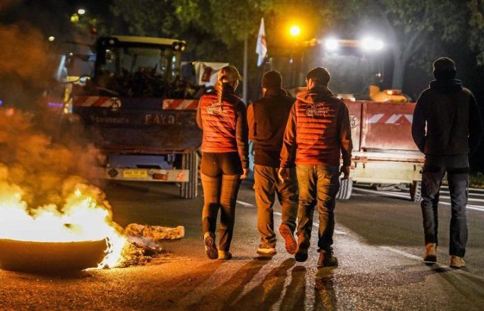 Ira agrícola: en Occitania, los manifestantes optaron por una primera ronda de advertencia