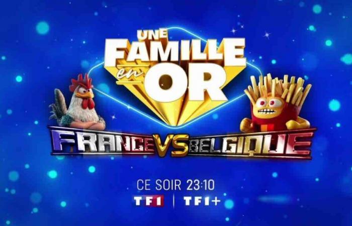 “Una familia dorada” del 19 de noviembre: ¿quiénes son los invitados de Camille Combal esta noche en TF1?