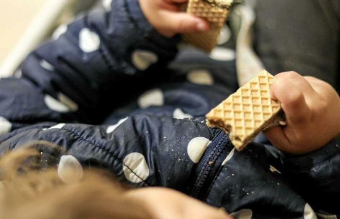 Uno de cada cuatro niños sufre insuficiencia alimentaria en Francia