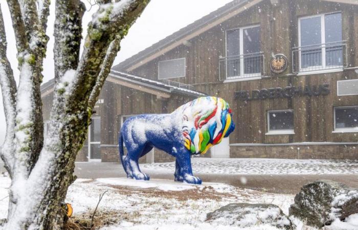 Hesse: Clima invernal en Hesse: después de las tormentas y la lluvia llega la nieve