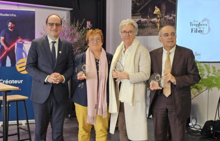 Los Trofeos de la Fibra 2024 celebran el crecimiento digital de las Landas – Landes Info