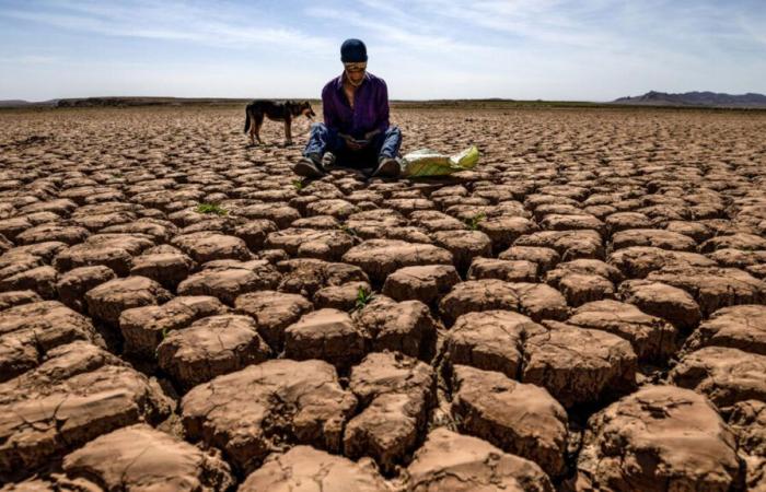 ¿Cuáles son las consecuencias del calentamiento global en el trabajo?