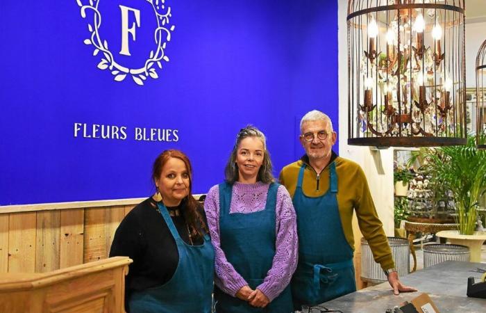 Ambiente campestre y “Madame de Pompadour” en Fleurs Bleues en Quimperlé