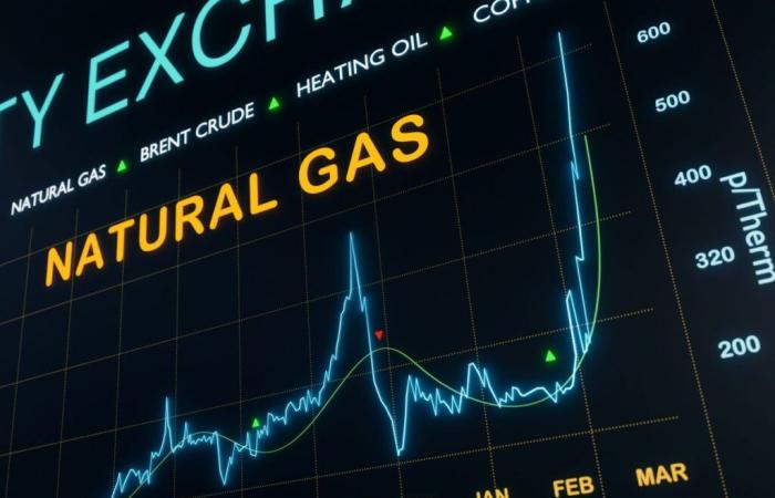 El diferencial negativo del gas entre verano e invierno podría pasar – Storengy | Noticias Montel