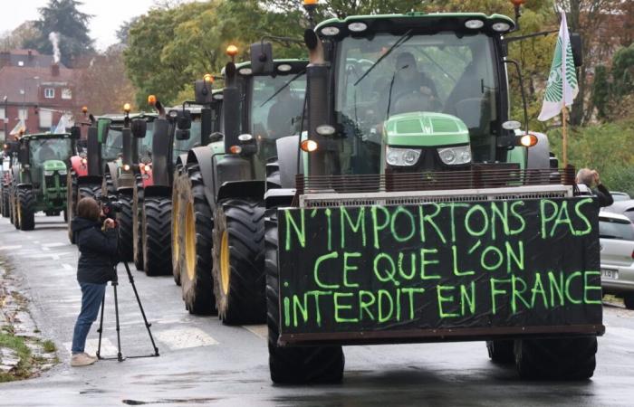 Agricultores enojados quitan los carteles de las aldeas y se movilizan contra el Mercosur.