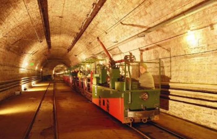 Visita guiada a la gran estructura Maginot en Hackenberg: Visita guiada en Veckring