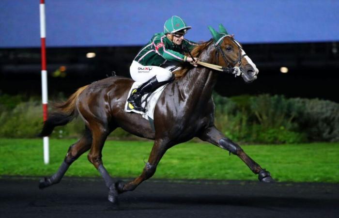 Sábado en Vincennes – Premio Joseph Lafosse (G.II): Jéroboam d’Erable