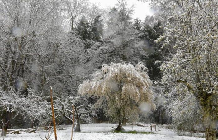 Informe meteorológico. Vuelve el frío, se pronostica nieve en los Alpes y quizás en las llanuras