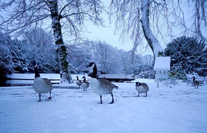 En imágenes: el Reino Unido tiembla ante la llegada de la nieve