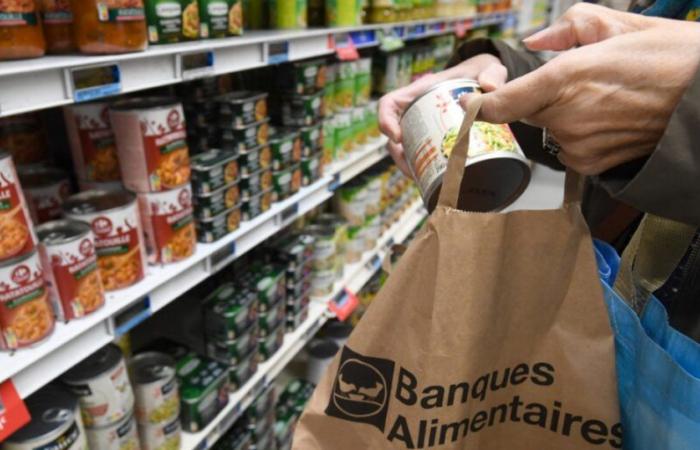 Radio 8 Ardenas | Ardenas: 300 voluntarios participan en la recogida anual del Banco de Alimentos