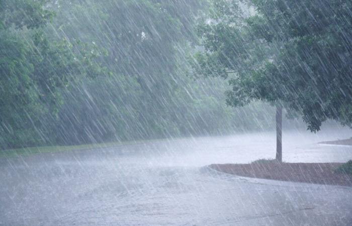 Météo France pone en alerta nada menos que 70 departamentos por lluvia, viento o inundaciones.