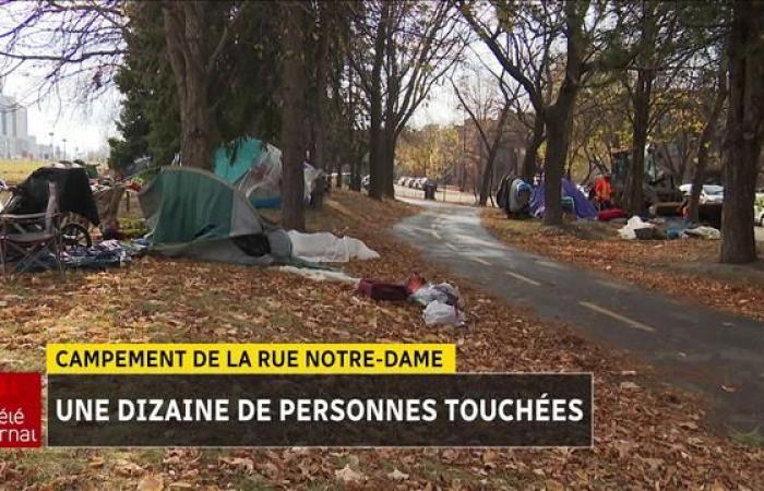 Personas sin hogar: desmantelamiento del campamento de la calle Notre-Dame el jueves