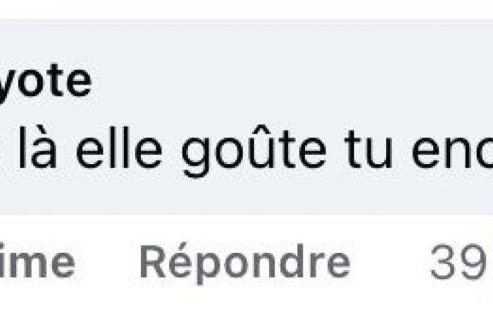 El precio del cuaderno de vacaciones de Vachon ha provocado una gran reacción en los quebequenses