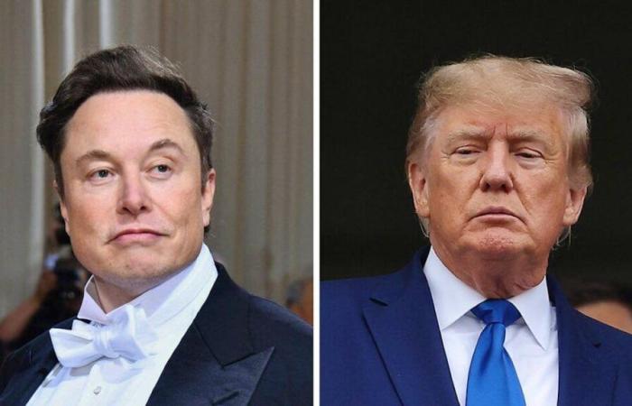 Batalla de egos: ¿podrá durar el romance Musk-Trump?