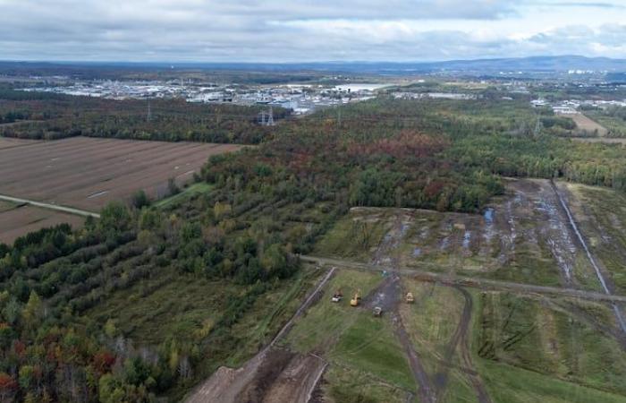 QScale ha encontrado su operador agrícola para futuros invernaderos