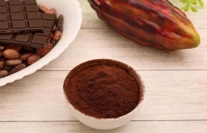 El cacao podría protegerte de los efectos negativos de los alimentos grasos cuando estás estresado