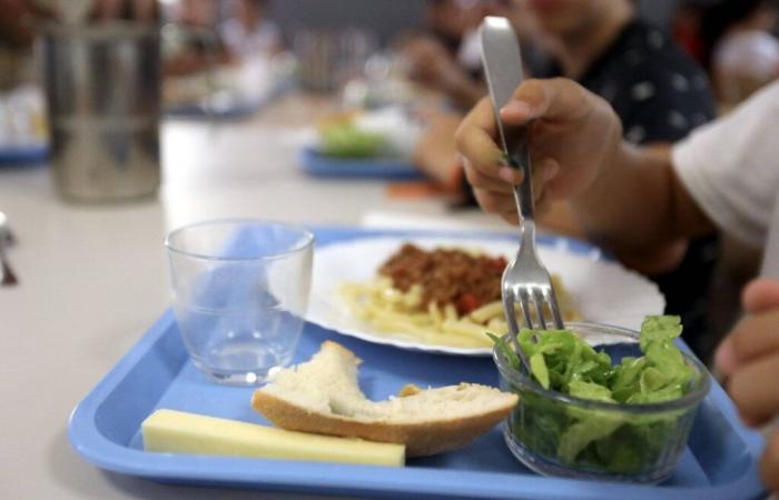 Mientras Restos du coeur centra su nueva campaña en los niños, una cuarta parte de ellos afirma no hacer tres comidas al día