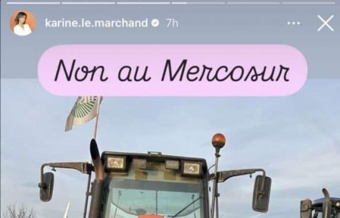 “La ira está en el prado”, Karine Le Marchand, su gran perorata en Instagram