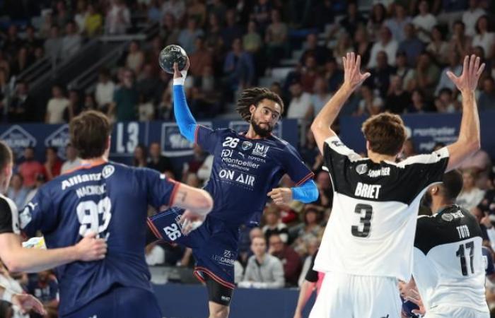 Montpellier, Limoges y Toulouse se clasificaron para la ronda principal de la Liga europea masculina