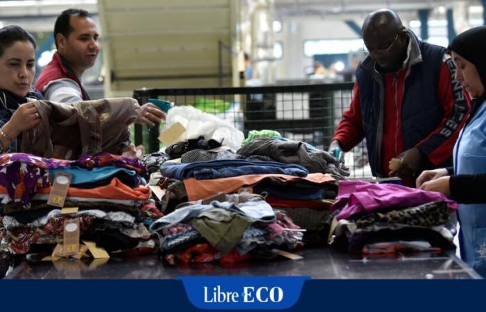 “El Abbé Froidure debe revolverse en su tumba” ante la crisis de Les Petits Riens