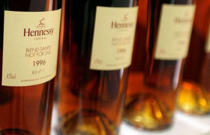 En huelga, empleados de Hennessy denuncian un proyecto de reubicación en China – 19/11/2024 a las 13:26