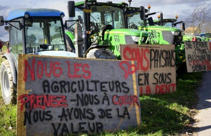 El movimiento Revuelta Agrícola Suiza se manifestará en Berna para relanzar sus reivindicaciones – rts.ch