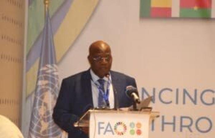 Inaugurada en Cabo Verde la 16ª reunión multidisciplinaria de la FAO | APAnoticias