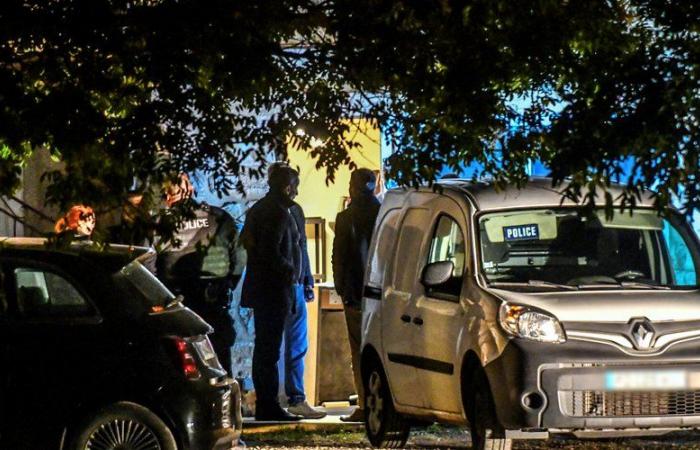 Un joven de 25 años encontrado muerto en Alès: la pista del asesinato favorecida, un sospechoso intenta escapar en tren