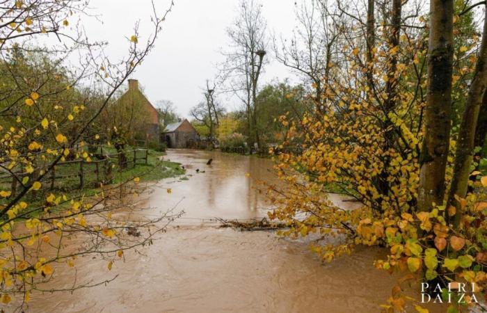 El enorme parque de animales Pairi Daiza sufre inundaciones