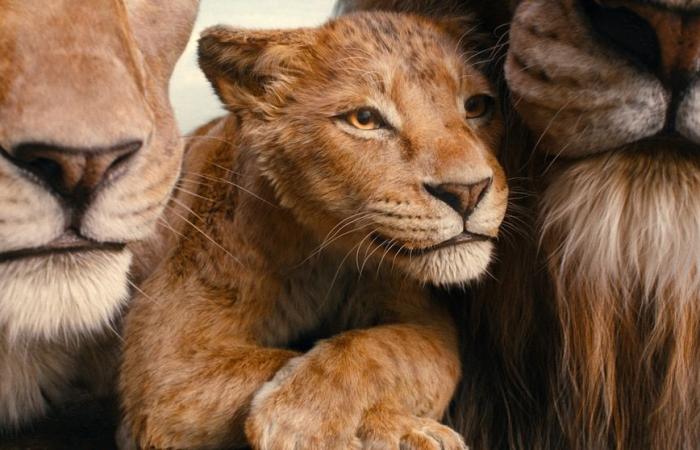 El tráiler final de ‘Mufasa: El Rey León’ presenta una aventura épica: Míralo aquí