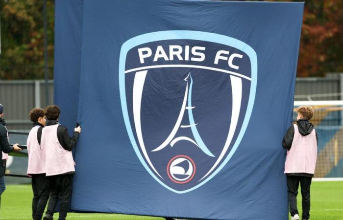 Paris FC: Una ofensiva de la familia Arnault en la Ligue 1, la verdad sale a la luz