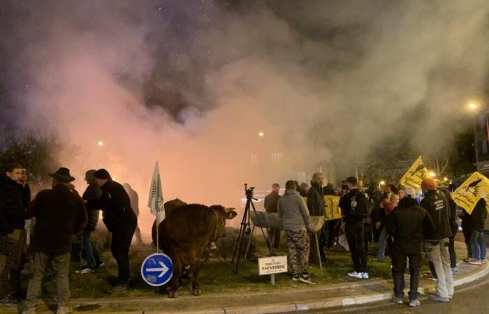 Agricultores movilizados en los Alpes del Sur.