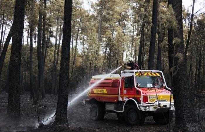 El año 2023 se sitúa entre los cinco años más afectados por los incendios forestales en Europa, según un informe de la Comisión