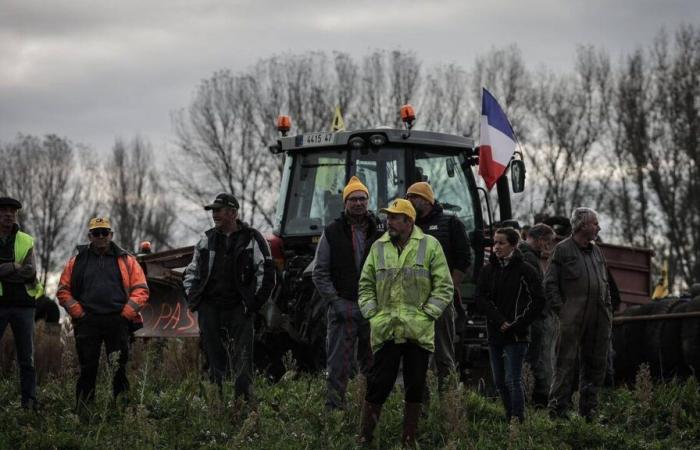 Presionada por sus agricultores, Francia lidera la revuelta contra el libre comercio con los países del Mercosur