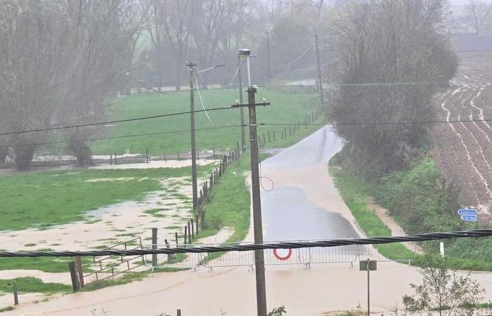 Escorrentía de los campos, casas afectadas: las inundaciones sorprenden a los pueblos de Brainois (FOTOS)