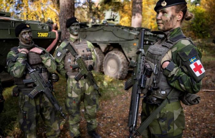 “La situación es grave”: Suecia y Finlandia alientan a sus habitantes a prepararse para una posible guerra