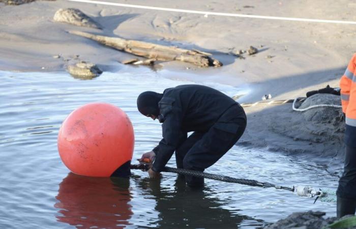 Lo que sabemos sobre la rotura del cable submarino de telecomunicaciones que une Finlandia con Alemania